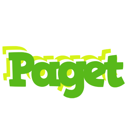 Paget picnic logo