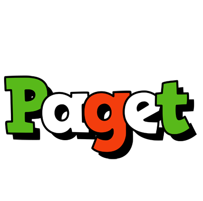 Paget venezia logo