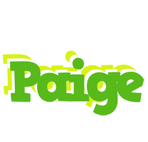 Paige picnic logo