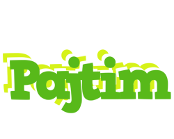 Pajtim picnic logo