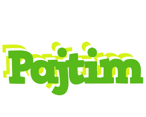 Pajtim picnic logo