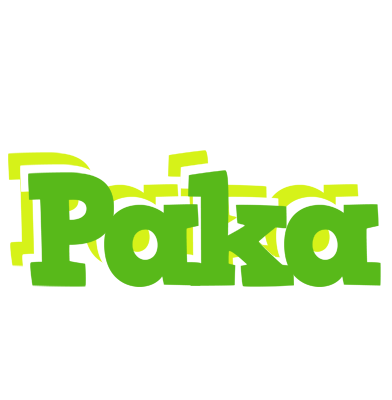 Paka picnic logo