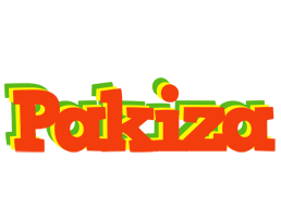 Pakiza bbq logo