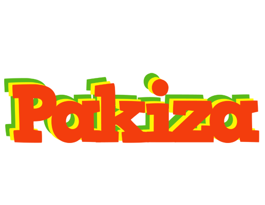 Pakiza bbq logo