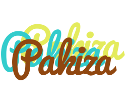 Pakiza cupcake logo