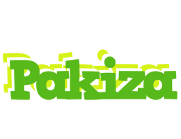 Pakiza picnic logo