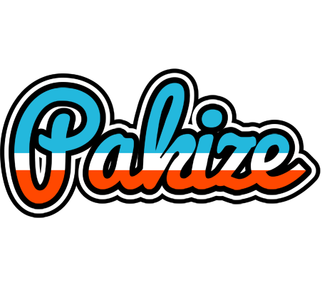 Pakize america logo