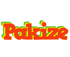 Pakize bbq logo