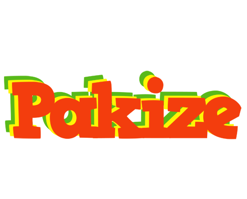 Pakize bbq logo