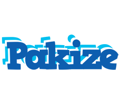 Pakize business logo