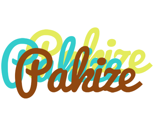 Pakize cupcake logo