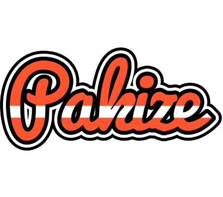 Pakize denmark logo