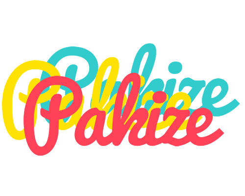 Pakize disco logo