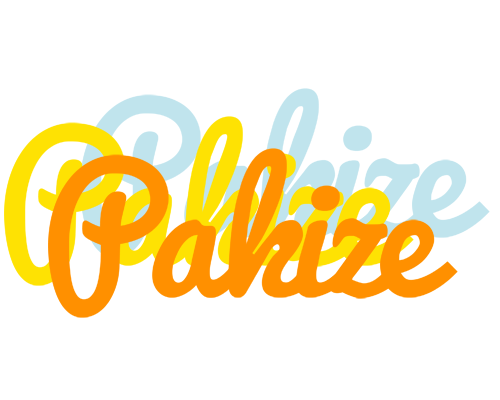 Pakize energy logo
