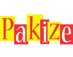 Pakize errors logo