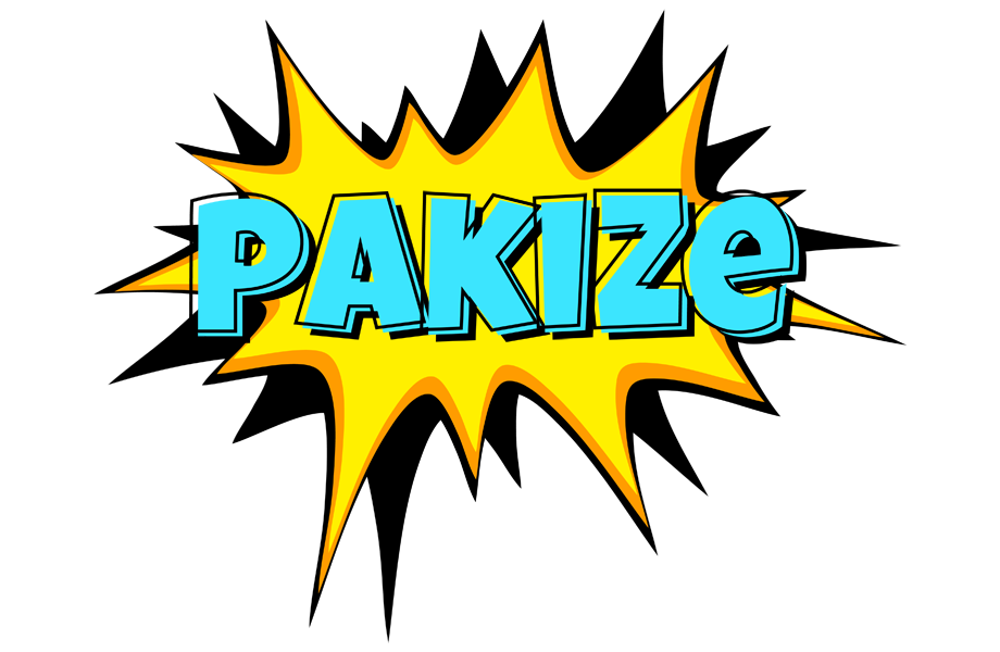 Pakize indycar logo