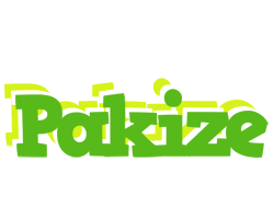 Pakize picnic logo