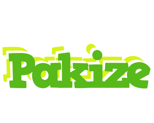 Pakize picnic logo