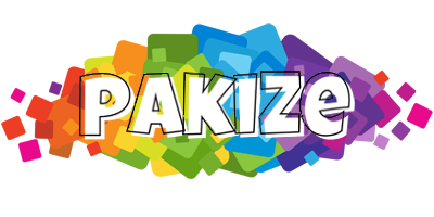 Pakize pixels logo