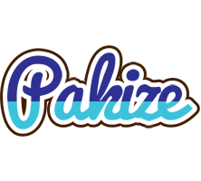 Pakize raining logo