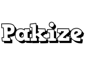 Pakize snowing logo