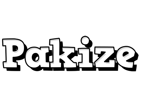 Pakize snowing logo