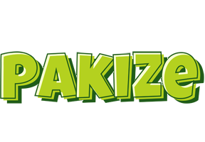 Pakize summer logo