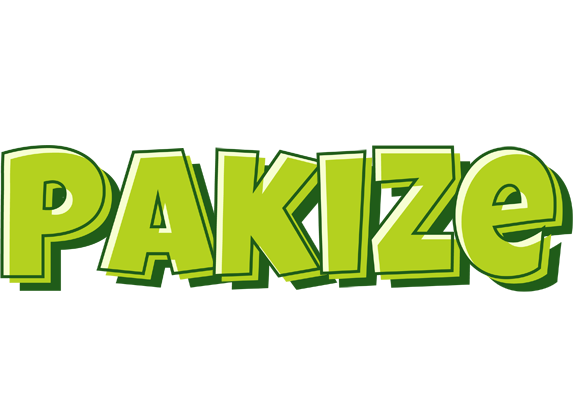 Pakize summer logo