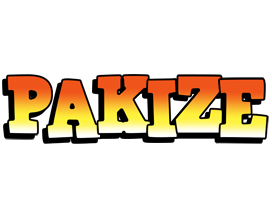 Pakize sunset logo