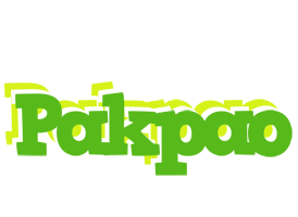 Pakpao picnic logo