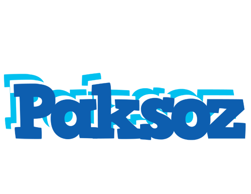 Paksoz business logo
