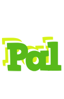 Pal picnic logo
