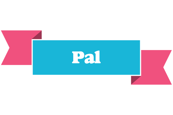 Pal today logo