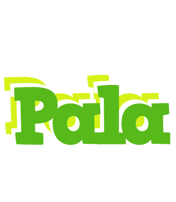 Pala picnic logo