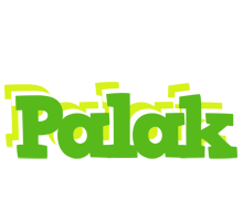 Palak picnic logo