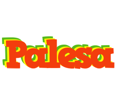 Palesa bbq logo