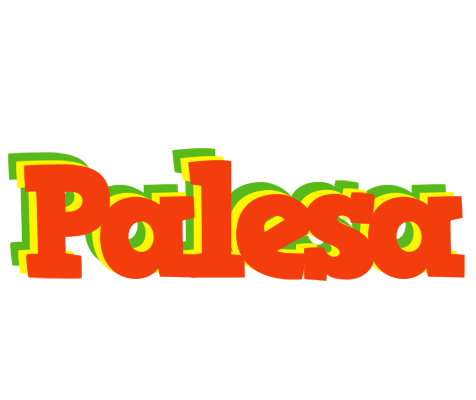 Palesa bbq logo