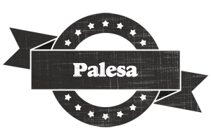 Palesa grunge logo