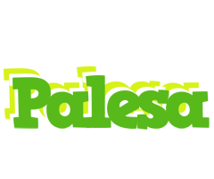 Palesa picnic logo