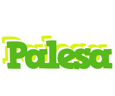 Palesa picnic logo