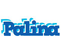 Palina business logo