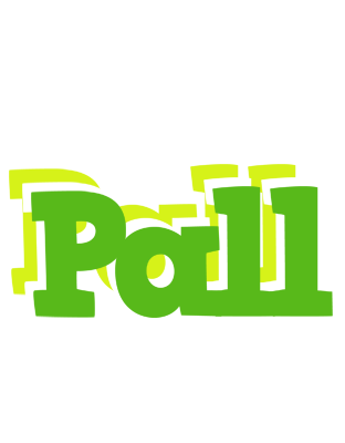 Pall picnic logo