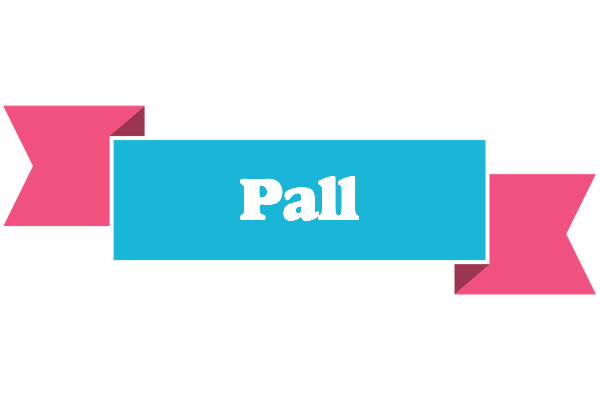 Pall today logo