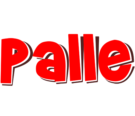 Palle basket logo