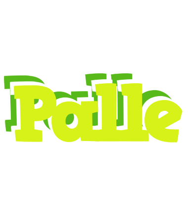 Palle citrus logo