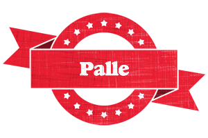 Palle passion logo