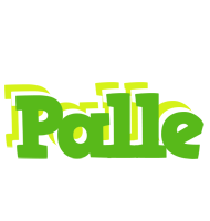 Palle picnic logo