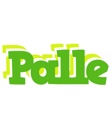 Palle picnic logo