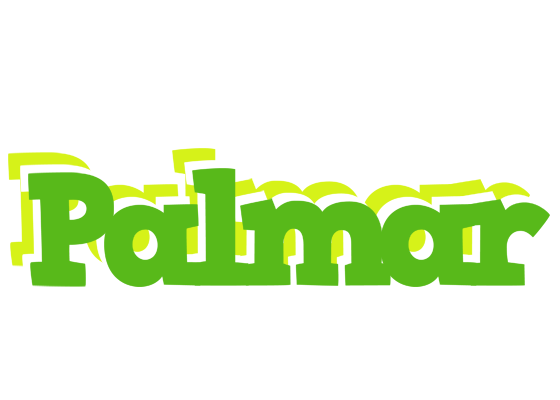Palmar picnic logo