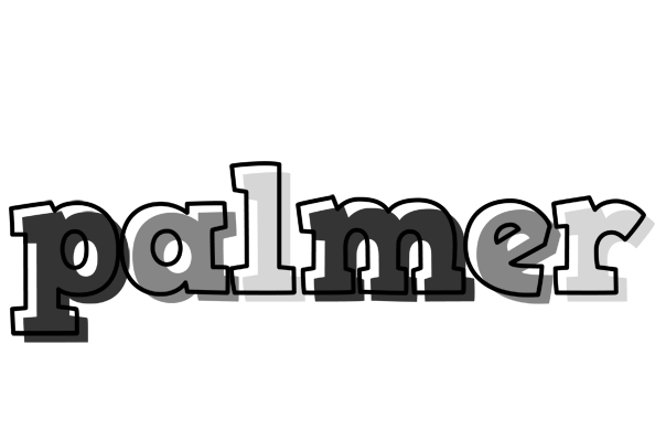 Palmer night logo